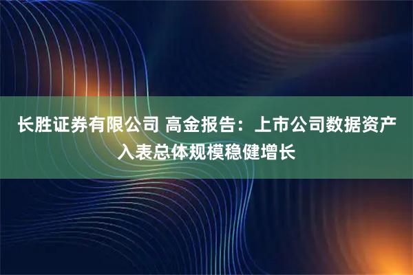 长胜证券有限公司 高金报告:上市公司数据资产入表总体规模稳健增长